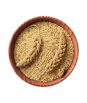 Foxtail Millet